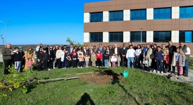 OMÜ'de Diyabet Günü etkinliği kapsamında fidan dikildi