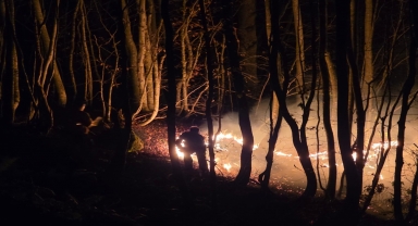 Ordu'da çıkan örtü yangınına müdahale ediliyor