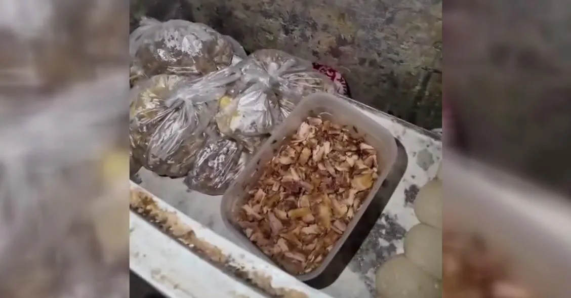 Pidecideki görüntüler şok yarattı