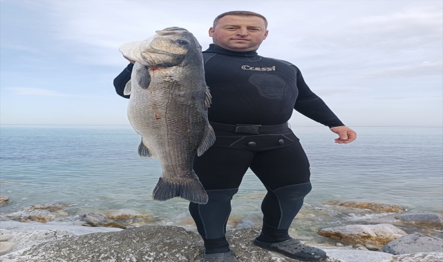 Sinop’ta amatör balıkçı zıpkınla 9 kilogramlık levrek avladı