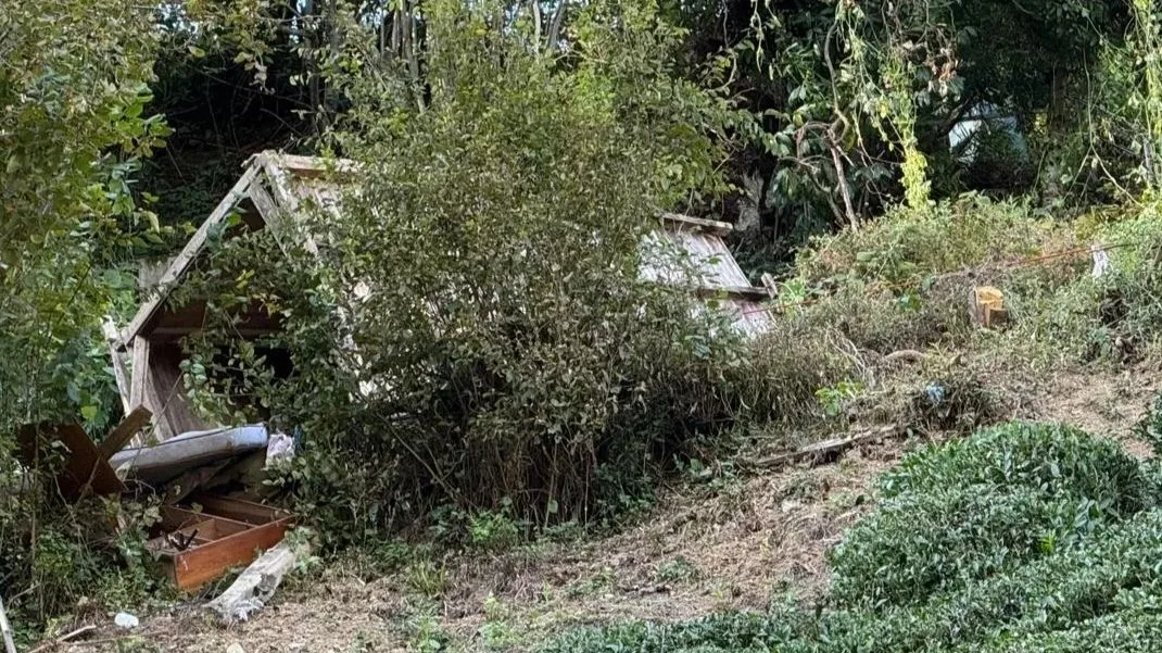 Son dakika... Giresun'da devrilen serentinin altında kalan köylü öldü
