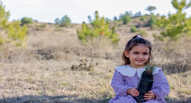 Taşköprü'de Milli Ağaçlandırma Günü'nde 600 fidan dikildi