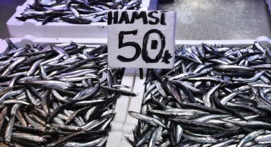 Trabzon'da balıkçı tezgahlarını hamsi süslüyor