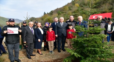 Trabzon'da şehitler anısına fidan dikildi 