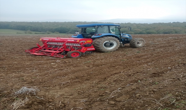 Altın dane buğdayı 19 Mayıs'ta ekildi<div> </div>