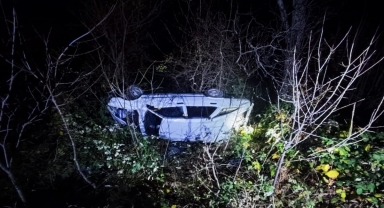 Artvin'de uçuruma devrilen otomobildeki 4 kişi yaralandı
