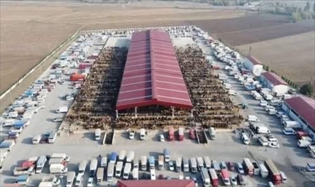 Çorum'da kapalı olan hayvan pazarları 29 Aralık'ta yeniden açılacak
