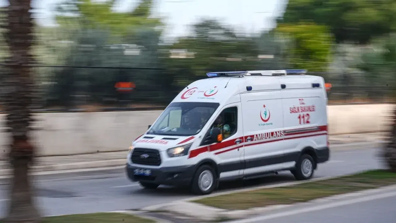 Giresun'da Bahçesinde Çıkan Yangına Müdahale Eden Bir Kişi Yaralandı