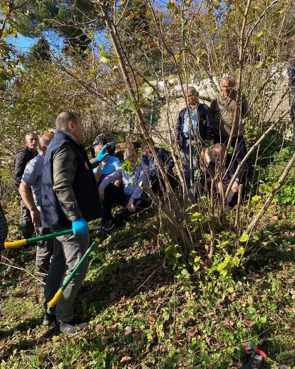 Giresun’da fındık için kalite ve yüksek verim eğitimleri sürüyor