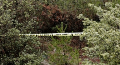 GÜNCELLEME 2 - Karabük'te kayıp kişi ormanlık alanda ölü bulundu