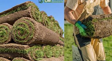 Hazır Rulo Çim Nedir? Yıl Boyu Yeşil Kalır mı? Fiyatlar Ne Kadar?