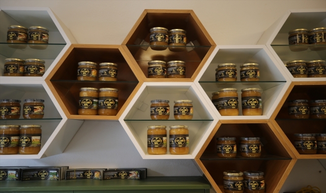 Karabük'te gençlerin ve kadınların istihdamını hedefleyen arıcılık projesi tamamlandı