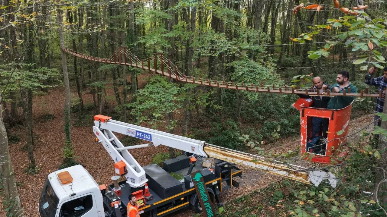 Sincaplar için ağaçlar arasına köprü yapıldı