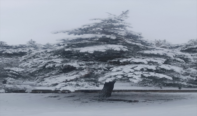 Yeşilyurt'ta kar yağışı etkili oldu