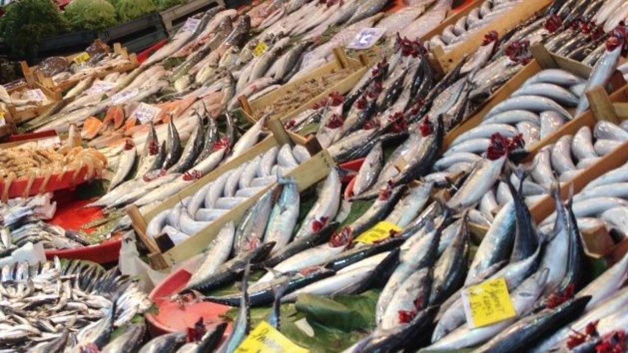 Somonu Geride Bıraktı! En Sağlıklı Balık Türleri Açıklandı