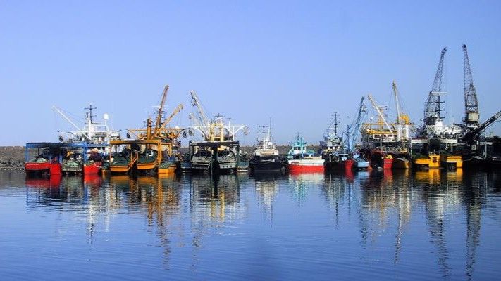 Balık Av Sezonu Biterken, Balıkçılar Sezonu Değerlendirdi 